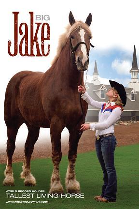 Big Jake